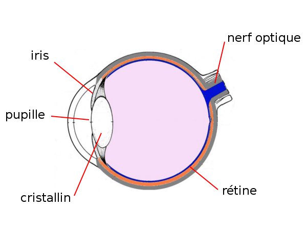 Oeil2legendes